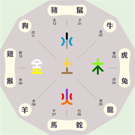 12地支五行|地支与五行